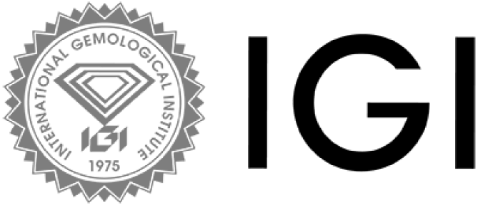 IGI logo with diamond emblem.