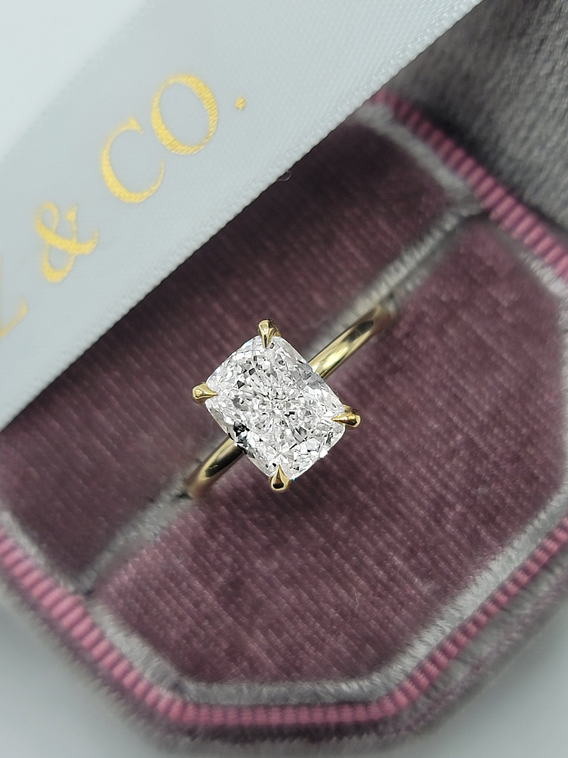 Diamond ring in a velvet ring box.
