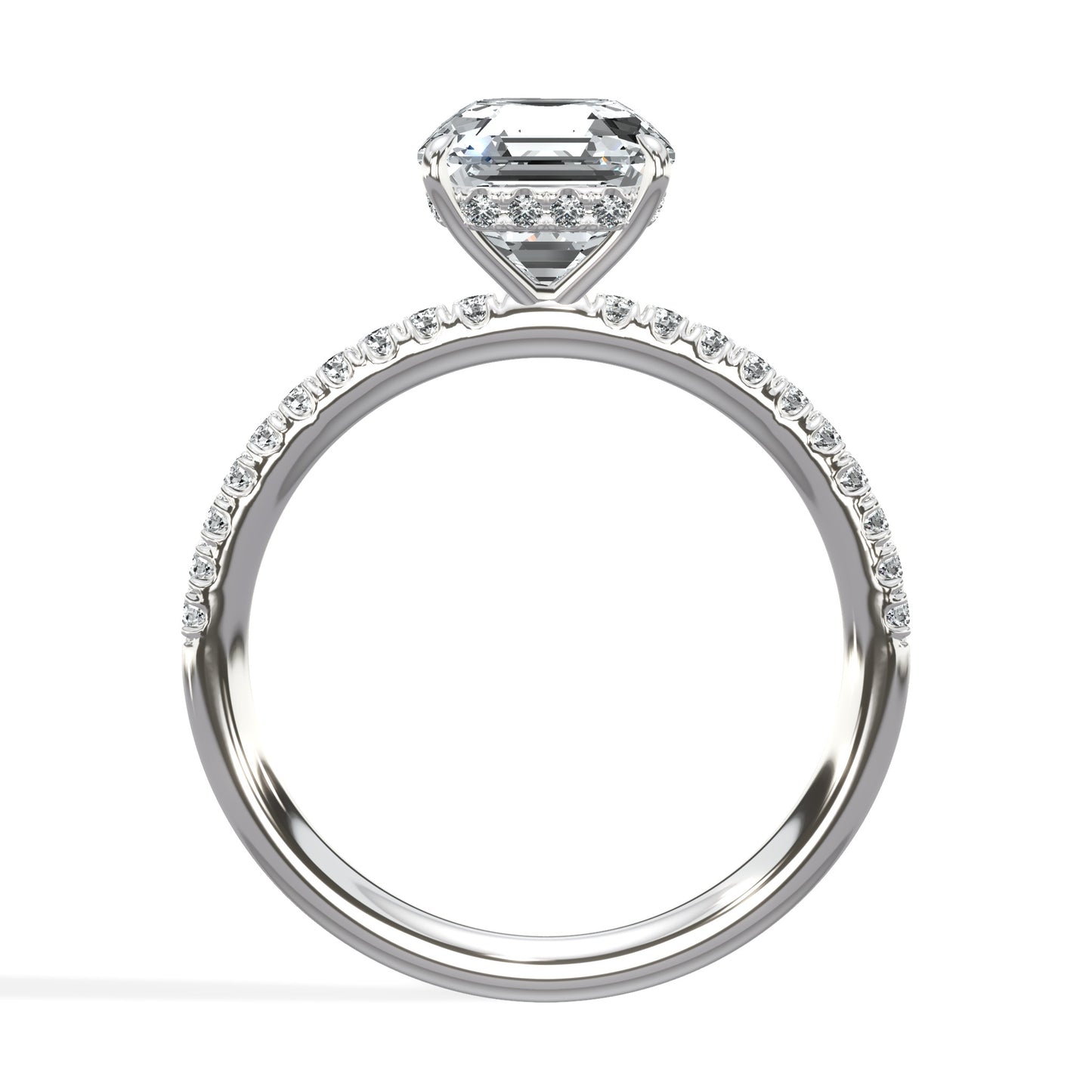 The Aurora - Lab Platinum