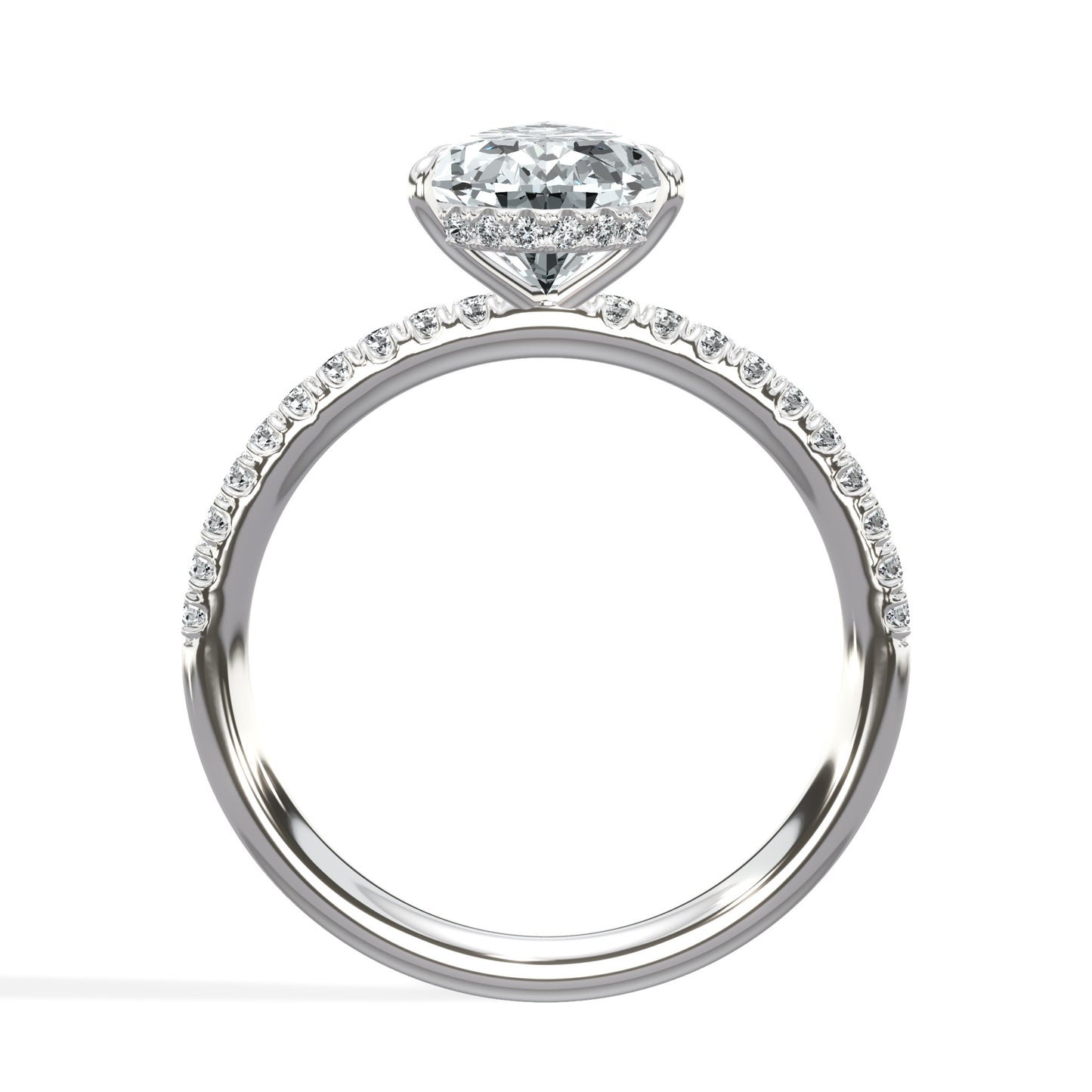 The Aurora - Lab Platinum
