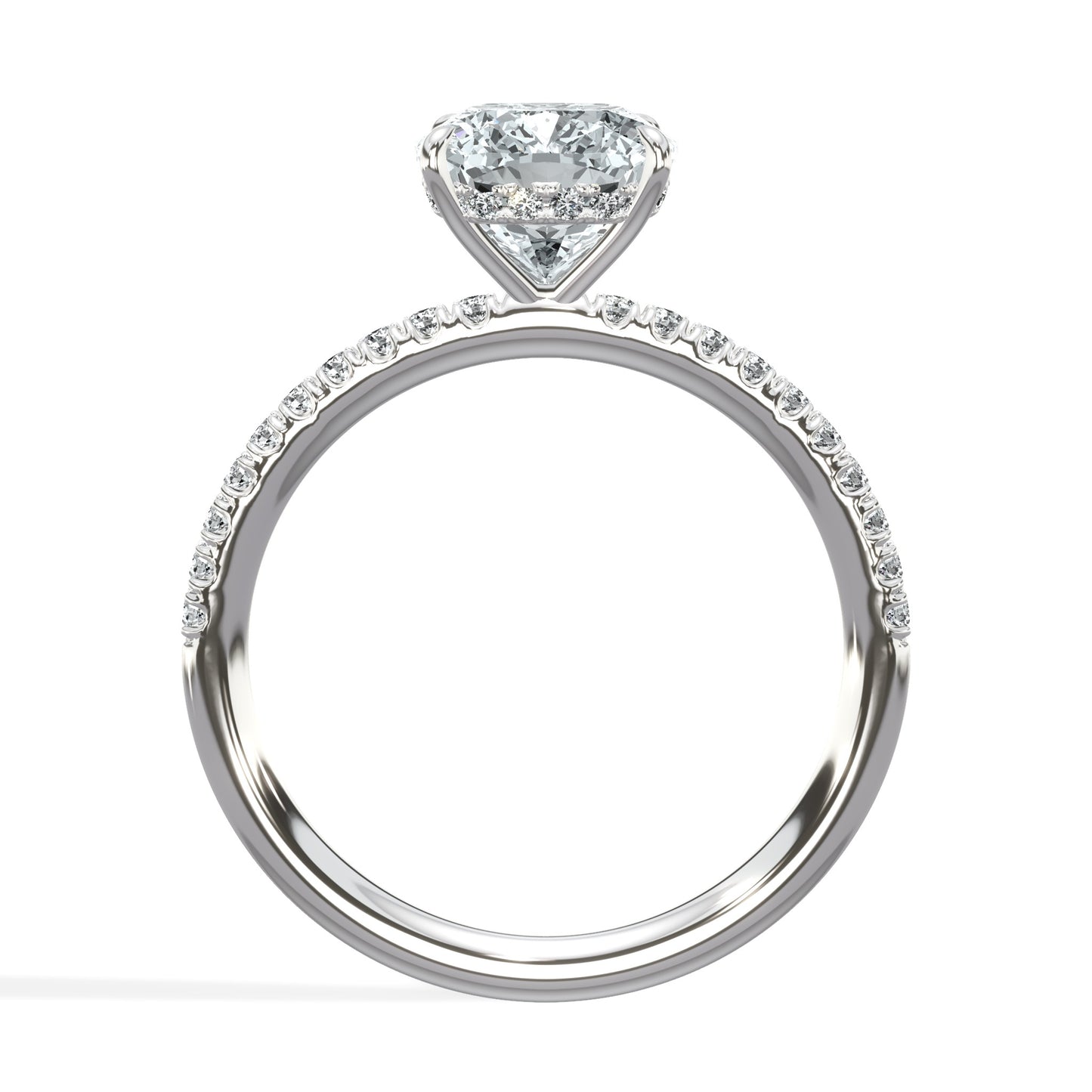 The Aurora - Lab Platinum