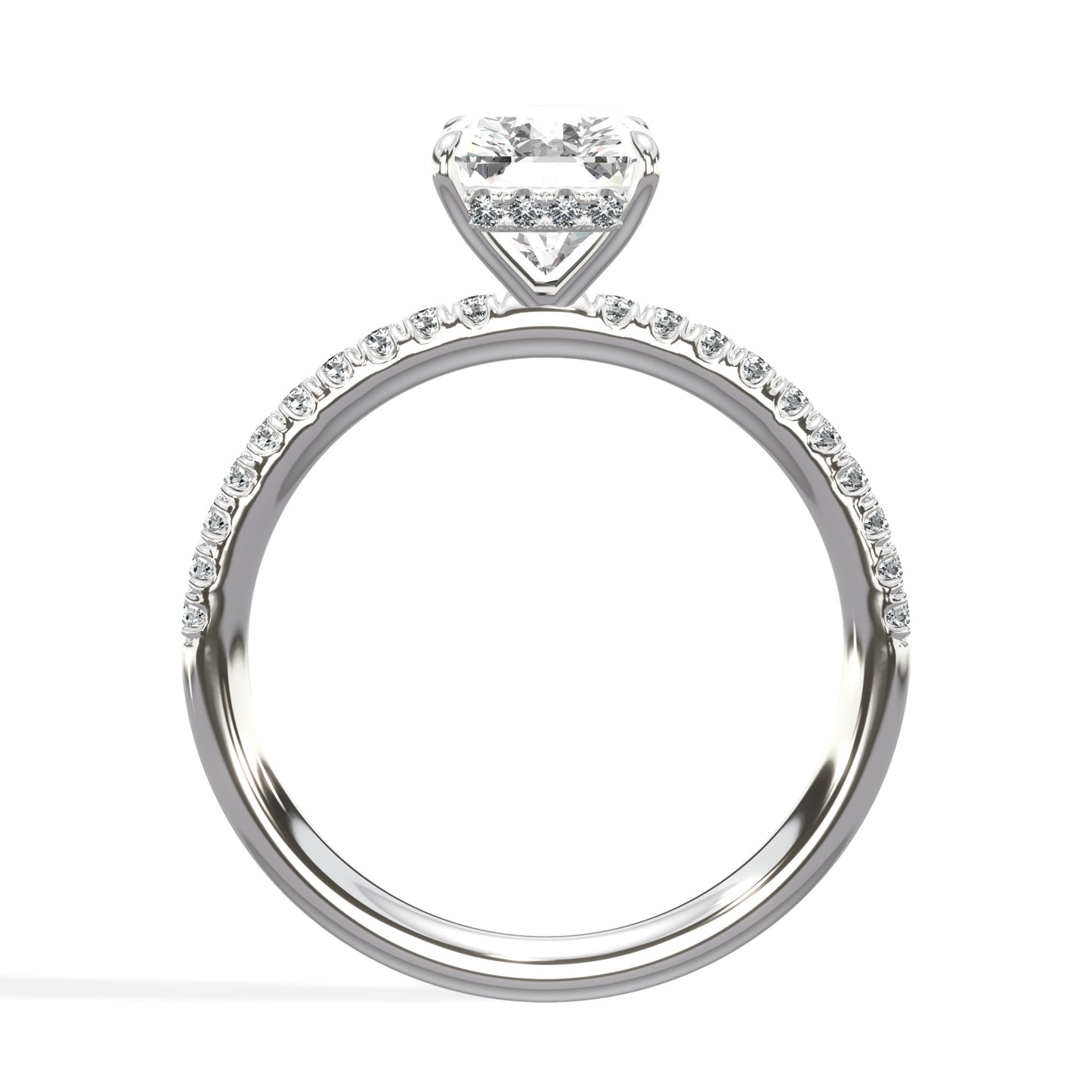 The Aurora - Lab Platinum